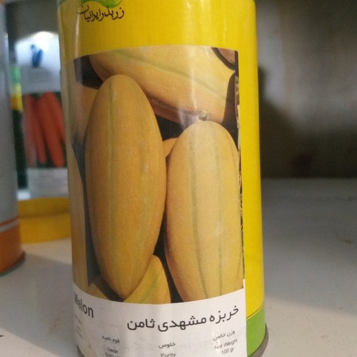 بذر خربزه مشهدی ثامن فروش گرمی