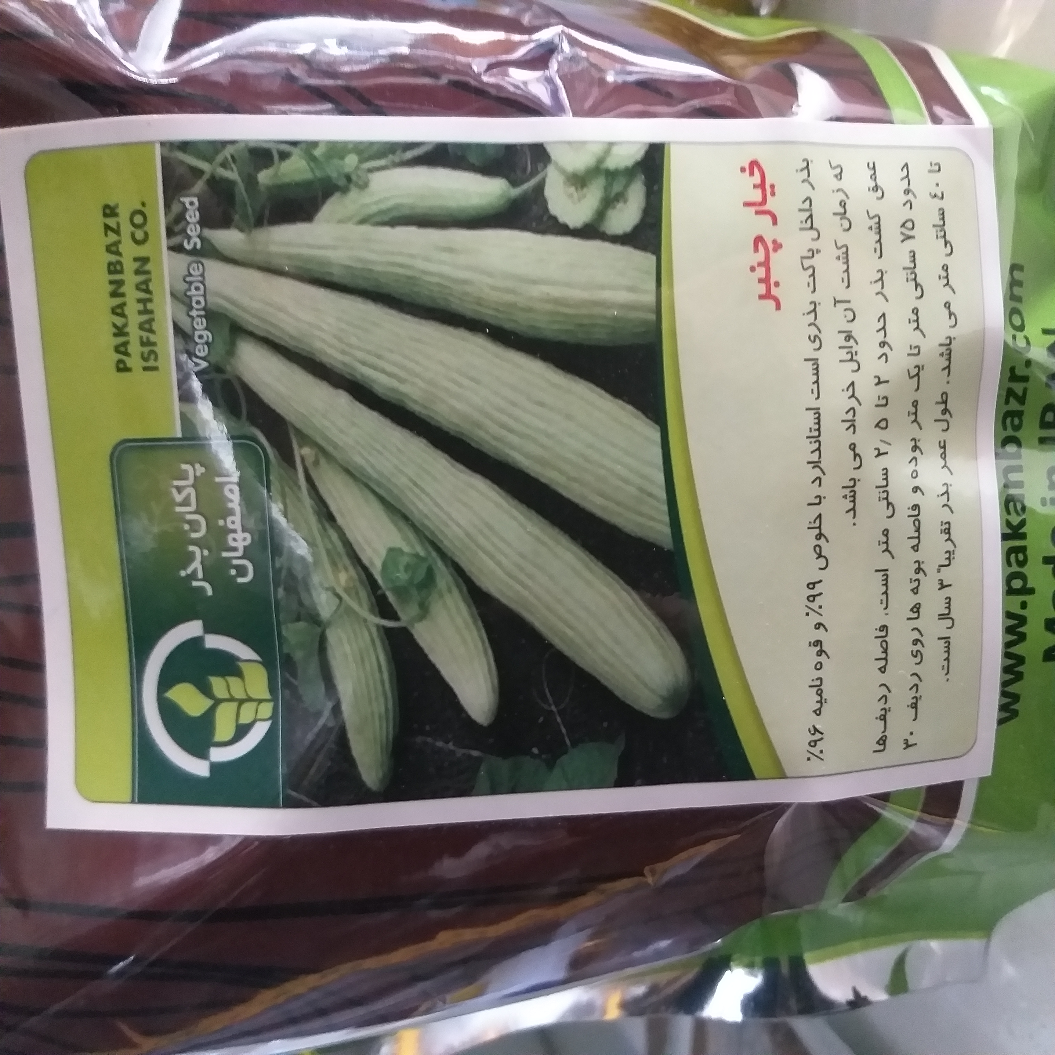 بذر خیار چنبر (فروش گرمی)