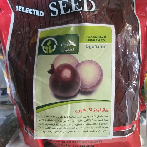 بذر پیاز قرمز اذر شهری (فروش گرمی)